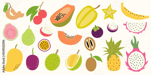 Colorful hand drawn tropical fruits. Exotic summer fruit illustration with mango, papaya, dragon fruit, pineapple. Flat vector fruity design for tropical packaging, healthy food label, kitchen decor.