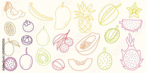 Hand drawn tropical fruits doodles. Exotic summer fruit doodle with mango, papaya, dragon fruit, pineapple. Flat vector fruity design for tropical packaging, healthy food label, kitchen decor.