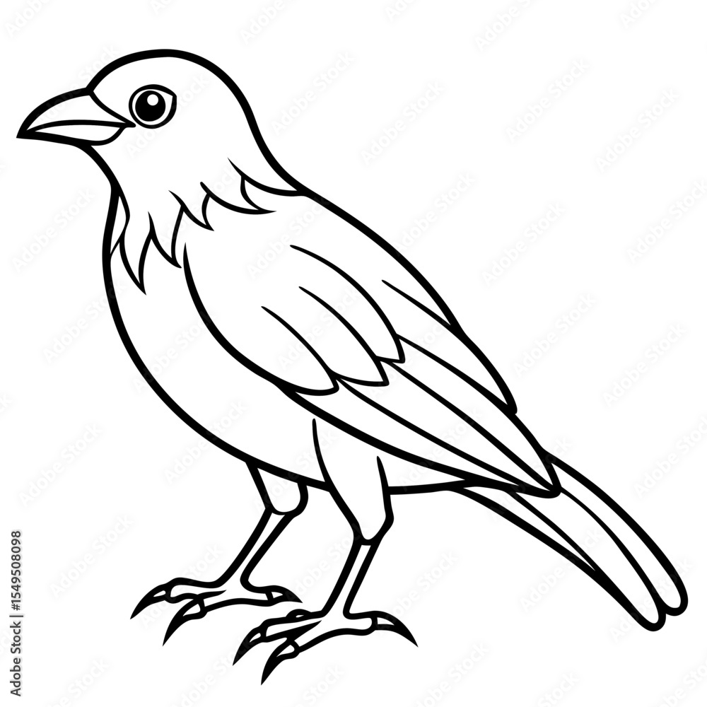 Fototapeta premium Fine Line Weaver Bird Graphic Art