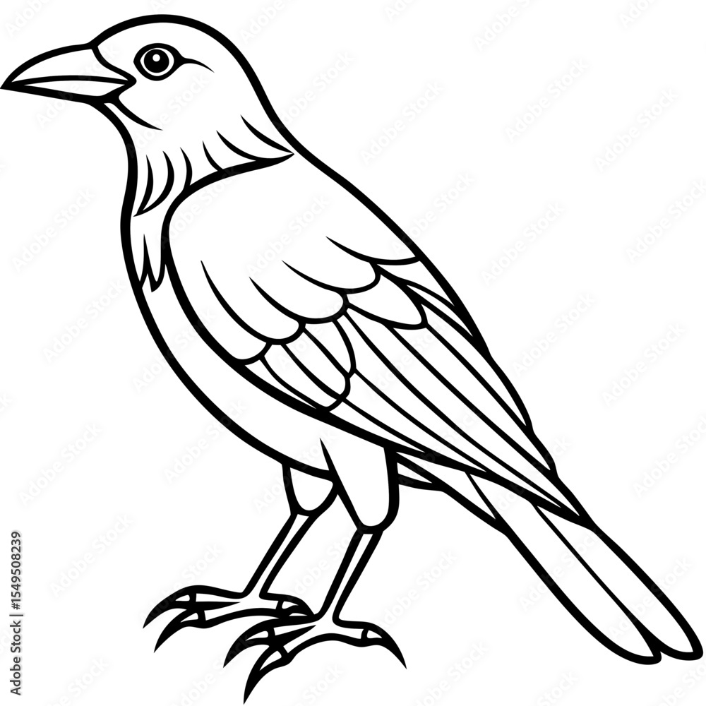 Fototapeta premium Fine Line Weaver Bird Graphic Art