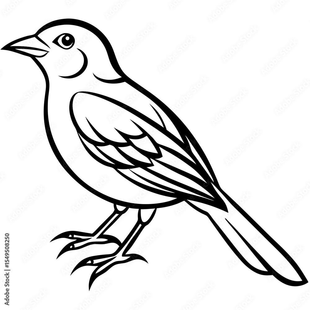 Obraz premium Fine Line Weaver Bird Graphic Art