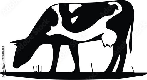 Black and white cow grazing isolated on transparent background