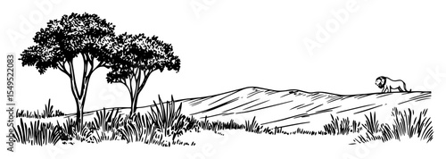 african savanna landscape with lion – black and white outline vector