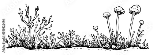 forest grass and mushrooms – monochrome outline vector nature illustration