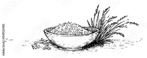 rice in bowl with plant sketch agriculture vector