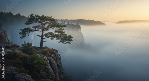 A lone pine tree stands on a rocky cliff overlooking a misty valley at sunrise, creating a dramatic and scenic landscape view of nature.