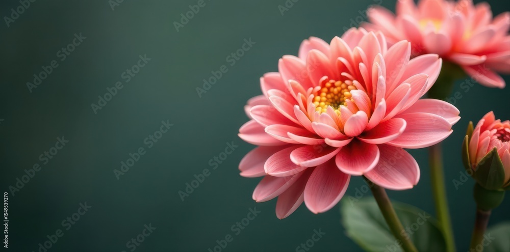 Fototapeta premium Lifelike artificial chrysanthemum bouquet, perfect home decor , silk flowers, bouquet