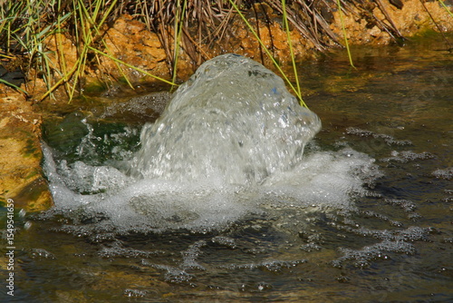 A small water jet gently rises from the center of a garden pond, surrounded by greenery and bathed in natural light. France.