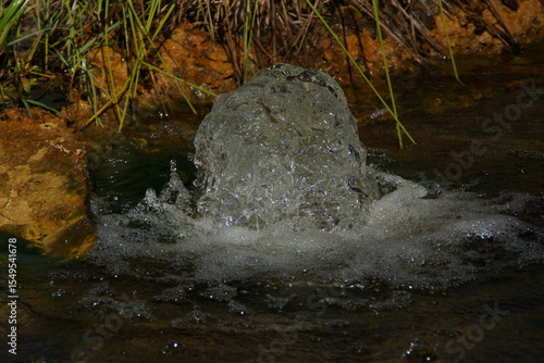 A small water jet gently rises from the center of a garden pond, surrounded by greenery and bathed in natural light. France.