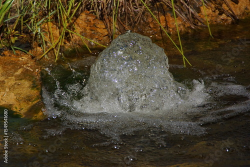 A small water jet gently rises from the center of a garden pond, surrounded by greenery and bathed in natural light. France.