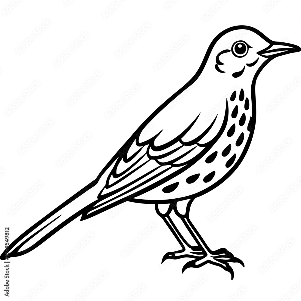 Obraz premium Line Art Bird Song Thrush White