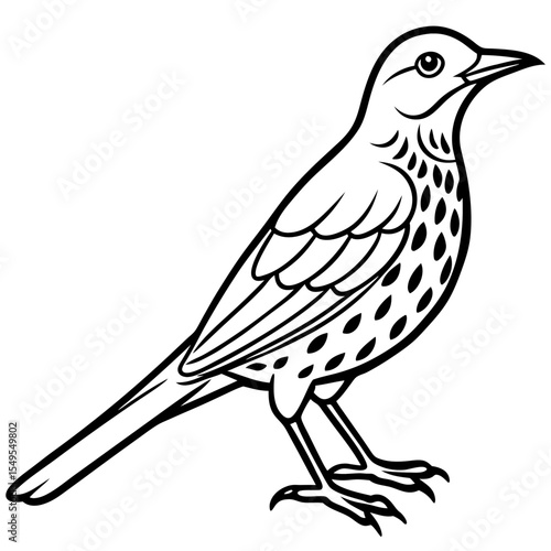 Line Art Bird Song Thrush White