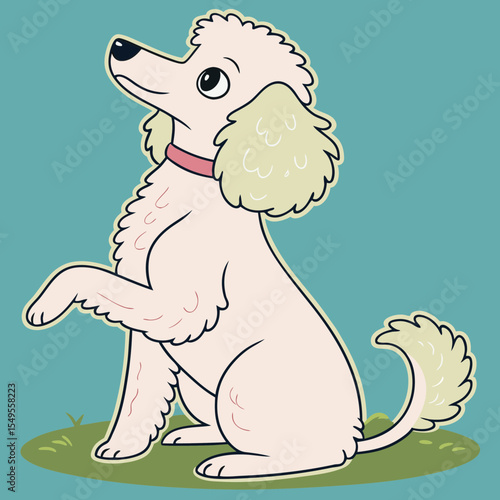 white poodle sitting on hind legs on blue background
