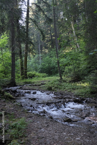 A clear, rocky stream flows gently through a sun-dappled, lush green forest, offering a serene escape into nature's untouched wilderness