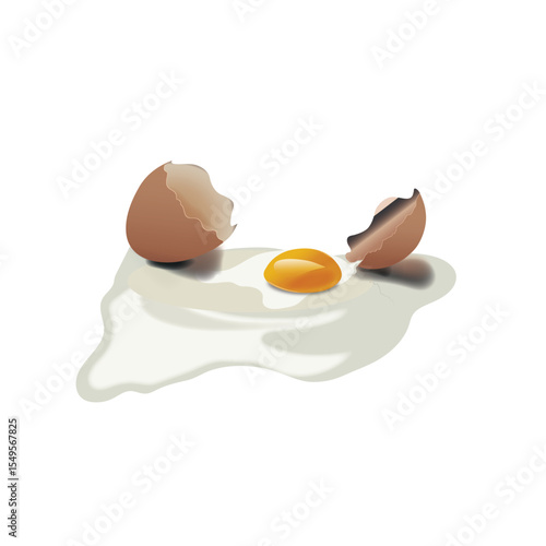 Broken Egg Vector.eps