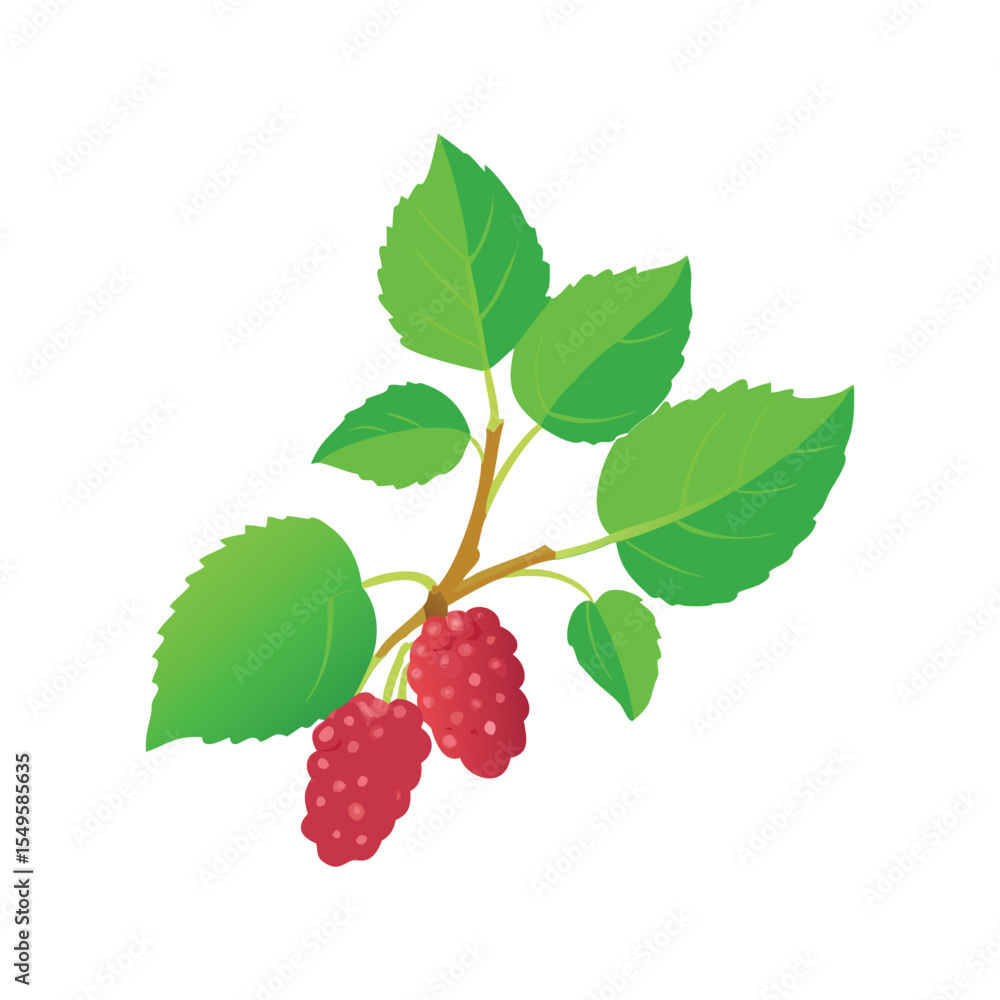 Obraz premium Delicious Fresh Raspberry Berry Fruit Flat Vector Icon with Leaf