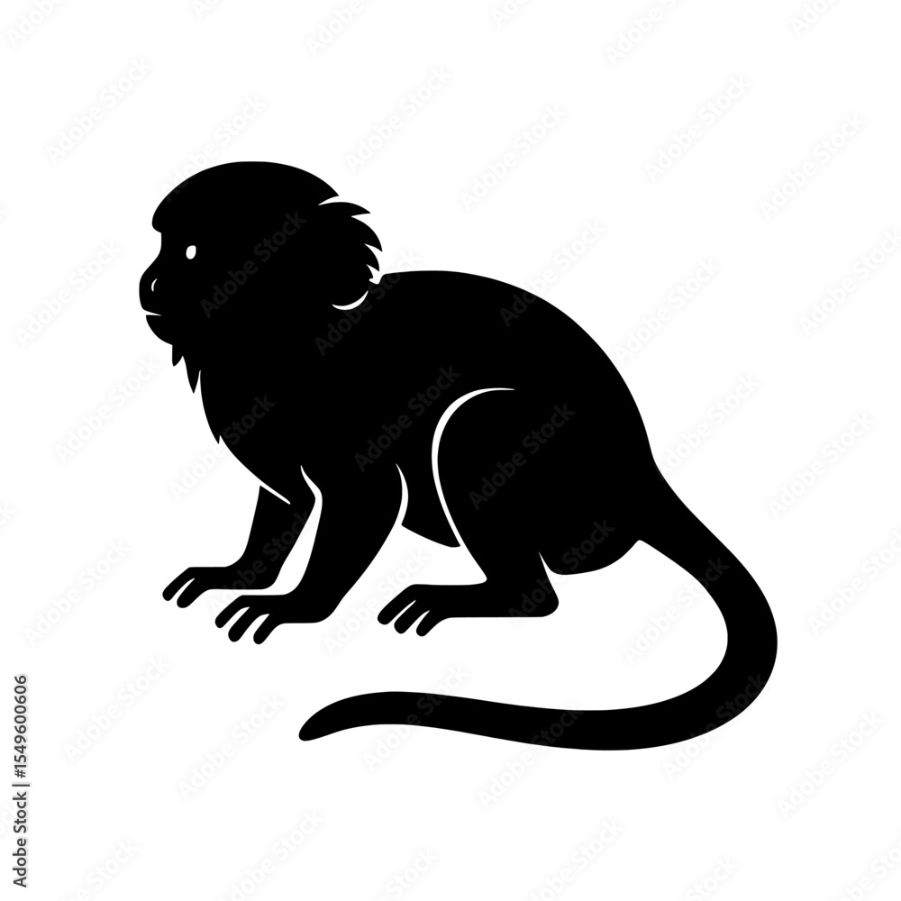 Obraz premium Silhouette of a Pygmy Marmoset Highlighting Its Delicate Features and Curved Tail