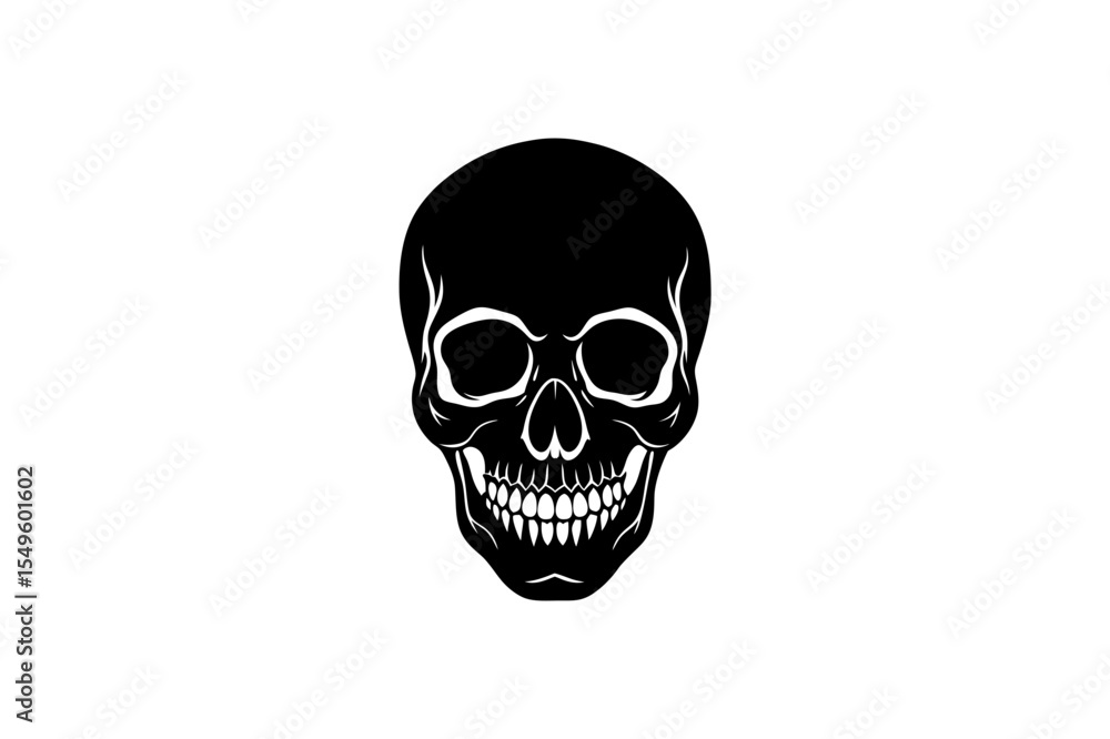 human skull isolated on white human skull isolated on white