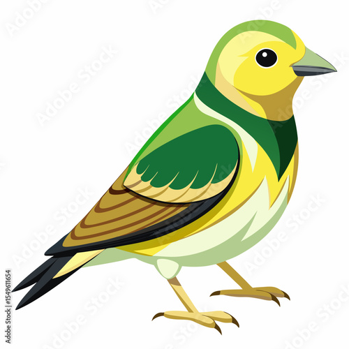 Lesser Goldfinch Vector Illustration – Arkansas Bird with Bright Yellow Body