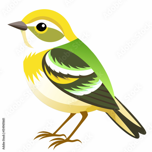 Yellow Lesser Goldfinch Vector Illustration – Small Songbird Native to Arkansas