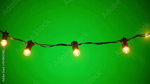 Vintage string lights on green screen background, glowing Edison bulbs hanging on black wire, warm decorative party lighting for video compositing