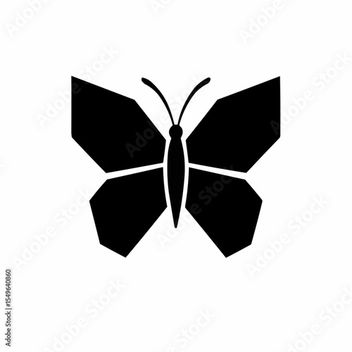 A dark gift box and shattered glass sphere design featuring an insect symbol on a decorative web