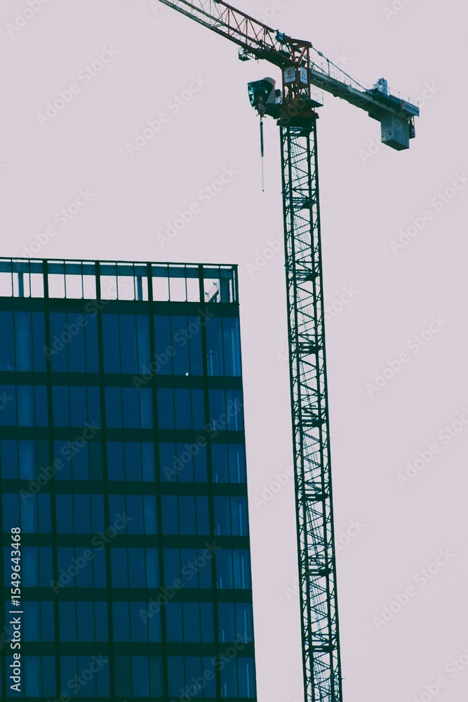 Obraz premium żurawiu czy ci nie żal