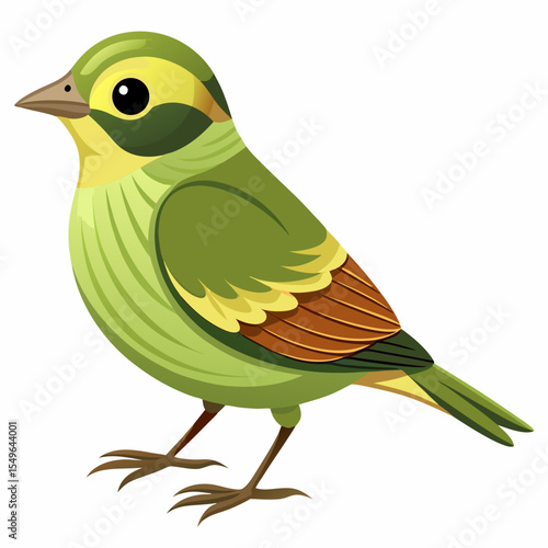 Colombian Lesser Goldfinch Vector Illustration – Tropical Finch with Bold Contrast Feathers