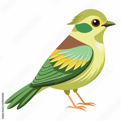 Colombian Lesser Goldfinch Vector Illustration – Bright Garden Songbird Clipart