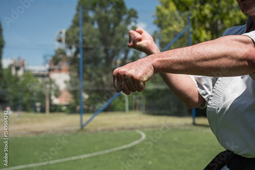 Canvas Print Close-up of martial artist punching outdoors on sunny day.