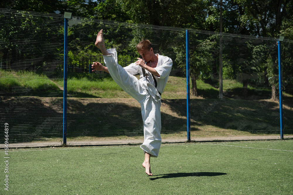 Obraz premium Martial artist doing high front kick on sports field.