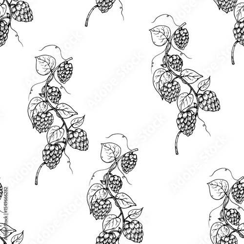 Vector seamless pattern with common hop frame, logo, template. Graphic ink, eco, organic Humulus lupulus branch with leaves and cones illustration isolated on background. Hand drawn line sketch. For