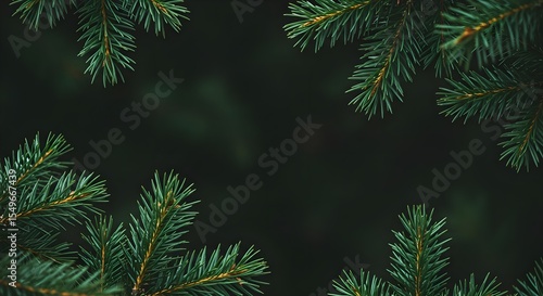 Pine, Pine branches, Branches, Dark Green Pine Branches Frame
