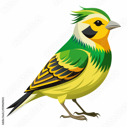 Cartoon Jouys Lesser Goldfinch Vector Illustration – Small Finch with Black Head