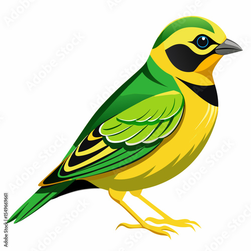 Lesser Goldfinch Vector Illustration – Jouys Subspecies with Distinctive Plumage