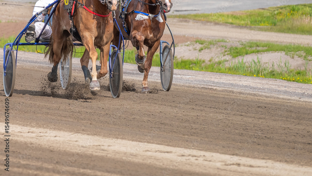 Obraz premium Equestrian sport. Horizontal photo banner. Copy space for your text. Horses compete in harness racing