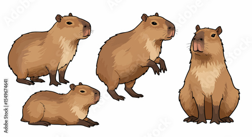 Capybara Hydrochoerus hydrochaeris illustration. Capybara images show rodent in various poses. Capybara illustration is perfect for children's books, educational materials, and websites.