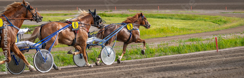 Equestrian sport. Horizontal photo banner. Copy space for your text. Horses compete in harness racing