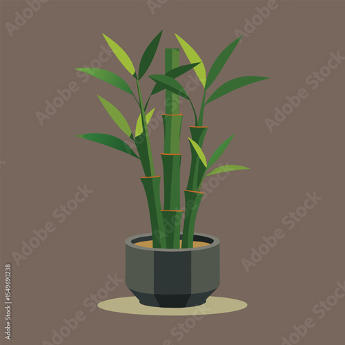 Potted bamboo plant with green leaves on a brown background.