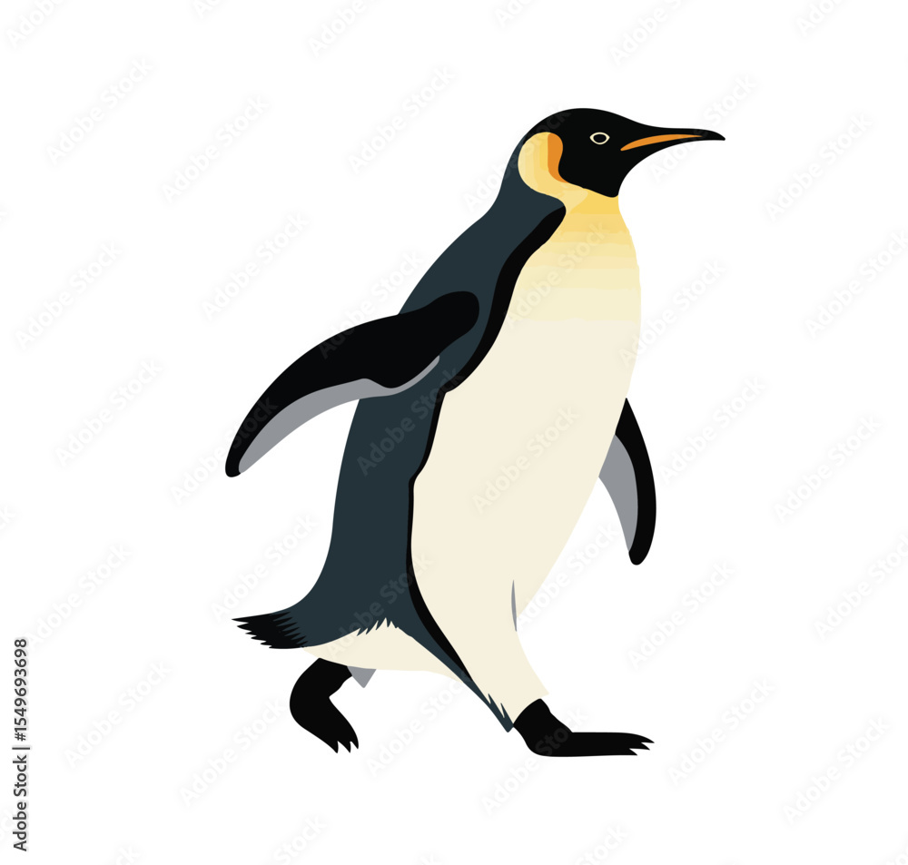 Fototapeta premium dolphin vector 