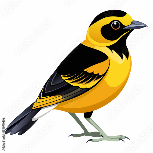 Lesser Goldfinch Vector Illustration – Wild Finch with Distinctive Yellow and Black Colors