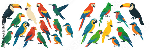 Colorful birds gathered in a tropical setting enjoying a sunny afternoon in the rainforest