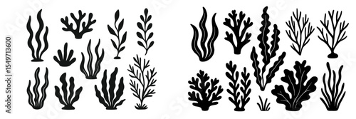 Stylized black coral and underwater plant illustrations showcasing diverse aquatic life forms in a creative artistic arrangement