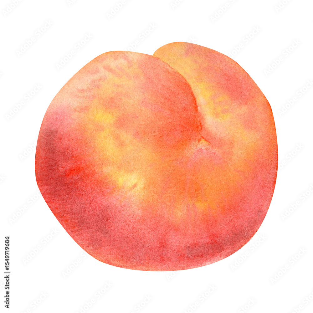 watercolor illustration of a ripe peach. Hand painted fuit with soft, delicate gradients of orange, yellow and red tones. Perfect for packing, branding, kitchen decor or botanical designs watercolor illustration of a ripe peach. Hand painted fuit with soft, delicate gradients of orange, yellow and red tones. Perfect for packing, branding, kitchen decor or botanical designs