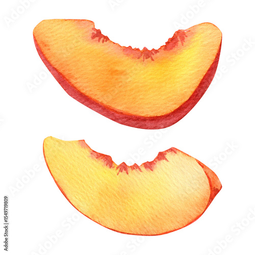 Watercolor peach slices illustration. Fresh, juicy fruit pieces with realistic texture and botanical details. erfect for food packaging, kitchen prints, organic branding, summer designs, healthy eatin