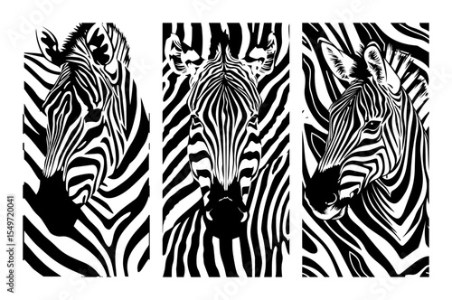 zebra vector portraits – black and white animal illustration set