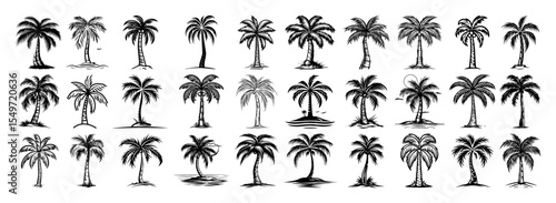 coconut and palm tree vector set – tropical silhouette illustration