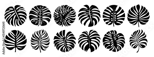 monstera leaf vector icons – tropical foliage silhouette set