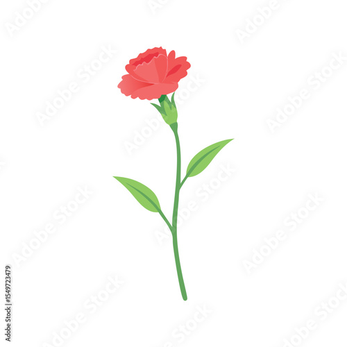 Carnation flower flat minimal vector illustration, simple pink floral icon, modern botanical

