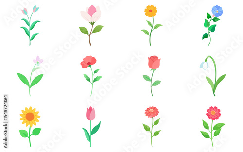 Wallpaper Mural Set of flowers vector illustration, colorful floral collection, spring garden plants, decorative botanical Torontodigital.ca